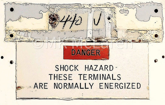 DANGER - Shock Hazard V. 1